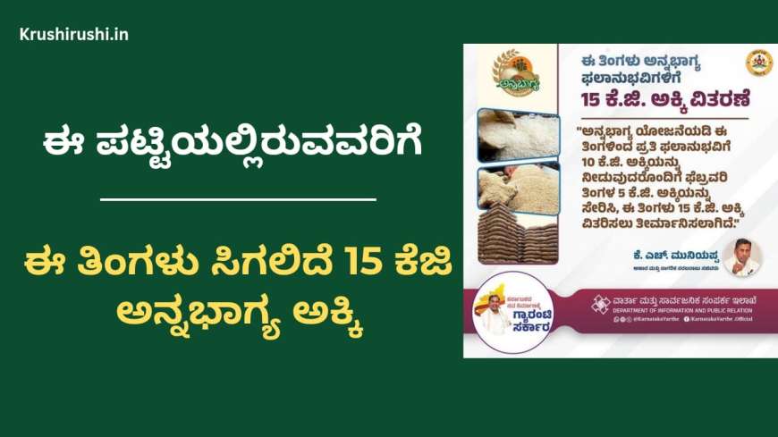 Annabhagya list-ಈ ಪಟ್ಟಿಯಲ್ಲಿರುವವರಿಗೆ ಈ ತಿಂಗಳು ಸಿಗಲಿದೆ 15 ಕೆಜಿ ಅನ್ನಭಾಗ್ಯ ಅಕ್ಕಿ