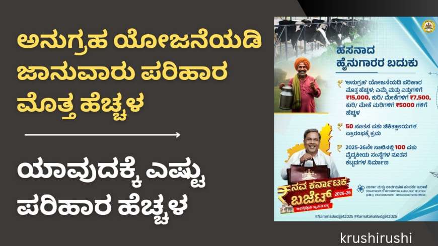 Anugraha yojane-ಅನುಗ್ರಹ ಯೋಜನೆಯಡಿ ಜಾನುವಾರು ಪರಿಹಾರ ಮೊತ್ತ ಹೆಚ್ಚಳ, ಯಾವುದಕ್ಕೆ ಎಷ್ಟು ಪರಿಹಾರ ಹೆಚ್ಚಳ?