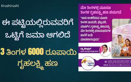 ಕೊನೆಗೂ ಜಮಾ ಆಯ್ತು 3 ತಿಂಗಳ ಪೇಂಡಿಗ್ 6000 ರೂಪಾಯಿ ಗೃಹಲಕ್ಷ್ಮಿ ಹಣ-Gruhalakshmi pending amount