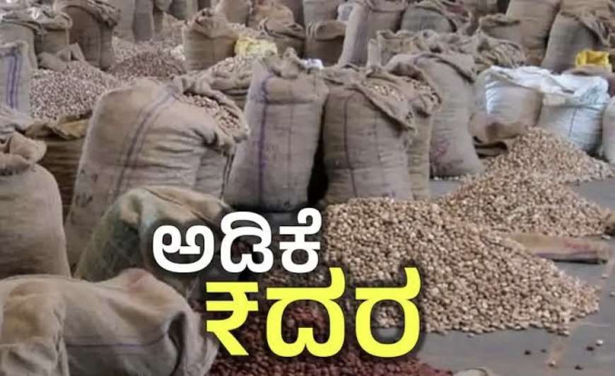 Arecanut rate-55 ಸಾವಿರದ ಗಡಿಯತ್ತ ಅಡಿಕೆ ರೇಟ್,ಇಲ್ಲಿದೆ ಕನಿಷ್ಟ ಗರಿಷ್ಟ ರೇಟ್ ಮಾಹಿತಿ