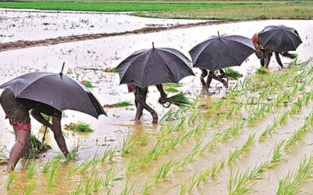 Karnataka Mansoon-16 ವರ್ಷಗಳ ನಂತರ 3 ದಿನ ಮೊದಲೇ ಮುಂಗಾರು ಪ್ರವೇಶ,ಈ ಭಾರಿಯ ಮಳೆ ಬೆಳೆ ಹೇಗಿರಲಿದೆ?