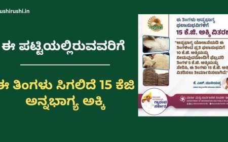 Annabhagya list-ಈ ಪಟ್ಟಿಯಲ್ಲಿರುವವರಿಗೆ 3 ತಿಂಗಳ ಪಡಿತರ ಮುಂಗಡ ವಿತರಿಸಲು ಮುಂದಾದ ಸರ್ಕಾರ