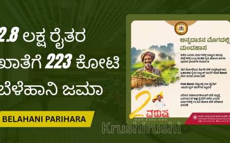 Bele parihara-2.8 ಲಕ್ಷ ರೈತರ ಖಾತೆಗೆ 223 ಕೋಟಿ ಬೆಳೆಹಾನಿ ಪರಿಹಾರ ಜಮಾ,ನಿಮ್ಮ ಜಮಾ ಸ್ಟೇಟಸ್ ಹೀಗೆ ಚೆಕ್ ಮಾಡಿ