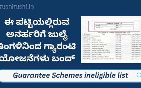 Guarantee schemes-ಈ ಪಟ್ಟಿಯಲ್ಲಿರುವ ಅನರ್ಹರಿಗೆ ಜುಲೈ ತಿಂಗಳಿನಿಂದ ಗ್ಯಾರಂಟಿ ಯೋಜನೆಗಳು ಬಂದ್