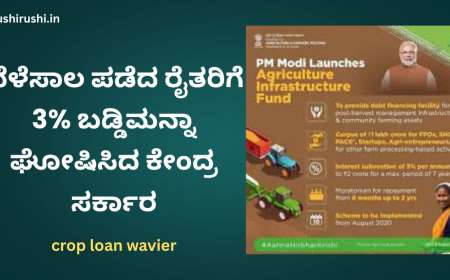 Bele sala baddi manna-ದೇಶದ ರೈತರಿಗೆ ಸಿಹಿಸುದ್ದಿ ನೀಡಿದ ಕೇಂದ್ರಸರ್ಕಾರ,ಶೇ 3% ಬಡ್ಡಿ ಮನ್ನಾದೊಂದಿಗೆ 3 ಲಕ್ಷ ಸಾಲ ಸೌಲಭ್ಯ