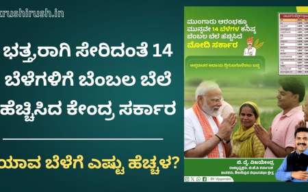 Bembala bele-ಭತ್ತ,ರಾಗಿ ಸೇರಿದಂತೆ 14 ಬೆಳೆಗಳಿಗೆ ಬೆಂಬಲ ಬೆಲೆ ಹೆಚ್ಚಿಸಿದ ಕೇಂದ್ರ ಸರ್ಕಾರ, ಯಾವ ಬೆಳೆಗೆ ಎಷ್ಟು ಹೆಚ್ಚಳ?