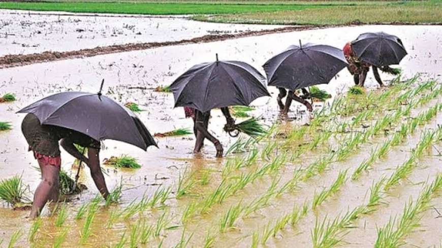 Karnataka Mansoon-16 ವರ್ಷಗಳ ನಂತರ 3 ದಿನ ಮೊದಲೇ ಮುಂಗಾರು ಪ್ರವೇಶ,ಈ ಭಾರಿಯ ಮಳೆ ಬೆಳೆ ಹೇಗಿರಲಿದೆ?