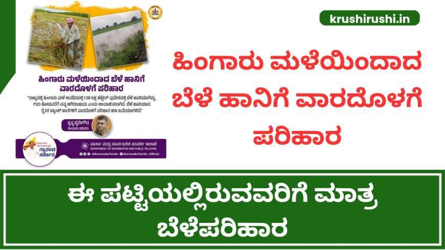 ಹಿಂಗಾರು ಮಳೆಯಿಂದಾದ ಬೆಳೆ ಹಾನಿಗೆ ಪರಿಹಾರ, ಈ ಪಟ್ಟಿಯಲ್ಲಿರುವವರಿಗೆ ಮಾತ್ರ ಬೆಳೆಪರಿಹಾರ-Bele parihara list