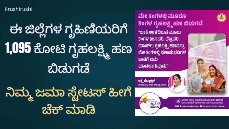 Gruhalakshmi amount-ಈ ಜಿಲ್ಲೆಗಳ ಗೃಹಿಣಿಯರಿಗೆ 1,095 ಕೋಟಿ ಗೃಹಲಕ್ಷ್ಮಿ ಹಣ ಬಿಡುಗಡೆ, ನಿಮ್ಮ ಜಮಾ ಸ್ಟೇಟಸ್ ಹೀಗೆ ಚೆಕ್ ಮಾಡಿ
