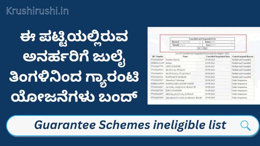 Guarantee schemes-ಈ ಪಟ್ಟಿಯಲ್ಲಿರುವ ಅನರ್ಹರಿಗೆ ಜುಲೈ ತಿಂಗಳಿನಿಂದ ಗ್ಯಾರಂಟಿ ಯೋಜನೆಗಳು ಬಂದ್