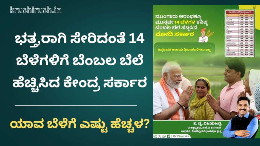 Bembala bele-ಭತ್ತ,ರಾಗಿ ಸೇರಿದಂತೆ 14 ಬೆಳೆಗಳಿಗೆ ಬೆಂಬಲ ಬೆಲೆ ಹೆಚ್ಚಿಸಿದ ಕೇಂದ್ರ ಸರ್ಕಾರ, ಯಾವ ಬೆಳೆಗೆ ಎಷ್ಟು ಹೆಚ್ಚಳ?