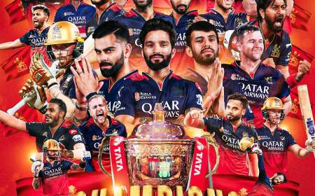 IPL 2025 winner-ಈ ಸಲ ಕಪ್ ನಮ್ದು,18 ವರ್ಷಗಳ ಅಭಿಮಾನಿಗಳ ಕನಸು ನನಸಾಗಿಸಿದ RCB