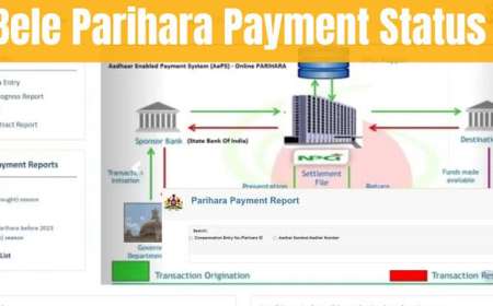Crop loss compensation-ಮಳೆಯಿಂದಾದ ಬೆಳೆಹಾನಿಗೆ ಪರಿಹಾರ ಪಡೆಯುವುದು ಹೇಗೆ?