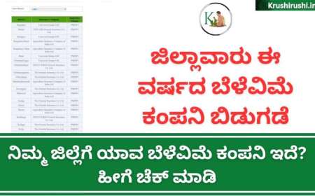 Crop insurance company-ನಿಮ್ಮ ಜಿಲ್ಲೆಗೆ ಈ ವರ್ಷ ಯಾವ ಬೆಳೆವಿಮೆ ಕಂಪನಿ ಇದೆ? ಹೀಗೆ ಚೆಕ್ ಮಾಡಿ