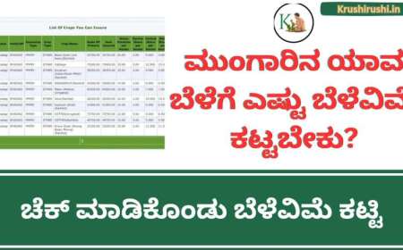 Crop you can insure-ಮುಂಗಾರಿನ ಯಾವ ಬೆಳೆಗೆ ಎಷ್ಟು ಬೆಳೆವಿಮೆ ಕಟ್ಟಬೇಕು? ಚೆಕ್ ಮಾಡಿಕೊಂಡು ಬೆಳೆವಿಮೆ ಕಟ್ಟಿ