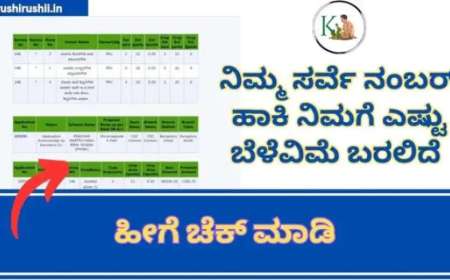 Crop insurance details on survey number-ನಿಮ್ಮ ಸರ್ವೆ ನಂಬರ್ ಗೆ ಎಷ್ಟು ಬೆಳೆವಿಮೆ ಸಿಗಲಿದೆ? ಸರ್ವೆ ನಂಬರ್ ಹಾಕಿ ಬೆಳೆವಿಮೆ ಚೆಕ್ ಮಾಡಿ