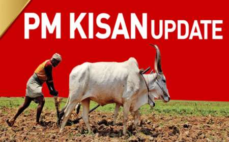Pmkisan update-ಪಿಎಂ ಕಿಸಾನ್ 20ನೇ ಕಂತಿಗೆ ದಿನಗಣನೆ,ನಿಮ್ಮ ಅರ್ಹತೆ ಹೀಗೆ ಚೆಕ್ ಮಾಡಿ