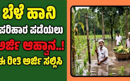 Bele parihara-ಮಳೆಯಿಂದಾದ ಬೆಳೆ ಹಾಗೂ ಮನೆ ಹಾನಿಗೆ ಪರಿಹಾರ ಬಿಡುಗಡೆ ಮಾಡಿದ ರಾಜ್ಯ ಸರ್ಕಾರ,ಯಾರಿಗೆ ಎಷ್ಟು ಪರಿಹಾರ ಸಿಗಲಿದೆ?