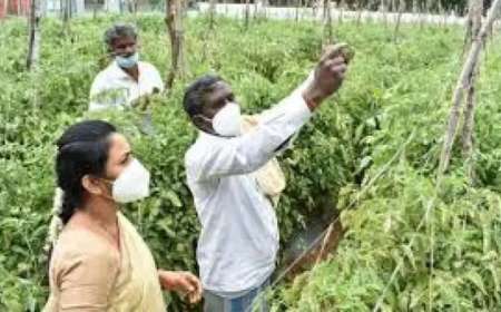 Crop survey 2025-26:ಬೆಳೆ ಸಮೀಕ್ಷೆ ಮಾಡದಿದ್ದರೆ ಬೆಳೆವಿಮೆ,ಬೆಳೆಹಾನಿ ಪರಿಹಾರ ಸಿಗಲ್ಲ,ನಿಮ್ಮ ಮೊಬೈಲ್ ನಲ್ಲೇ ಹೀಗೆ ಮಾಡಿ ಬೆಳೆ ಸಮೀಕ್ಷೆ