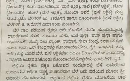 ಬೆಳೆವಿಮೆ ಕಟ್ಟಲು ಕೊನೆಯ 2 ದಿನ ಬಾಕಿ,ಯಾವ ಬೆಳೆಗೆ ಯಾವುದು ಕೊನೆಯ ದಿನಾಂಕ ಚೆಕ್ ಮಾಡಿ ಬೆಳೆವಿಮೆ ಕಟ್ಟಿ-crop insurance last date