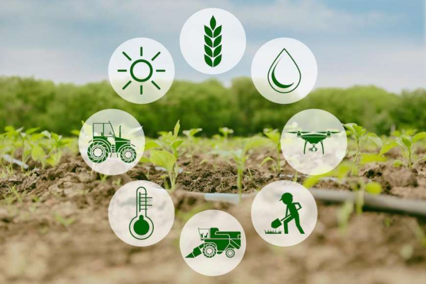 Secondary agriculture-50 ರಿಂದ 75% ಸಬ್ಸಿಡಿಯಲ್ಲಿ ಸೆಕೆಂಡರಿ ಕೃಷಿ ಯೋಜನೆಗೆ ಅರ್ಜಿ ಆಹ್ವಾನ