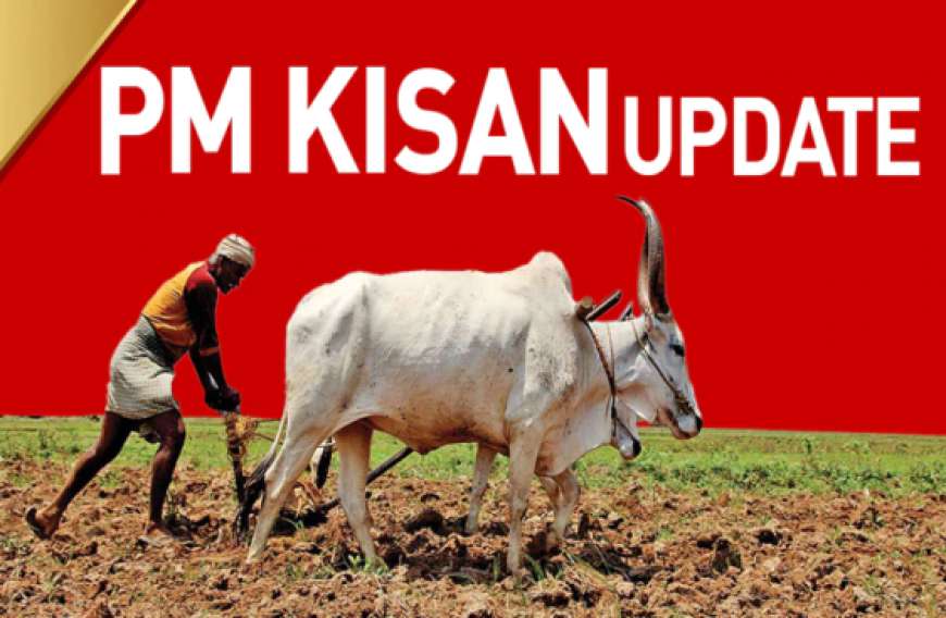 Pmkisan update-ಪಿಎಂ ಕಿಸಾನ್ 20ನೇ ಕಂತಿಗೆ ದಿನಗಣನೆ,ನಿಮ್ಮ ಅರ್ಹತೆ ಹೀಗೆ ಚೆಕ್ ಮಾಡಿ