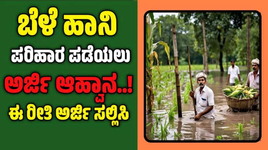 Bele parihara-ಮಳೆಯಿಂದಾದ ಬೆಳೆ ಹಾಗೂ ಮನೆ ಹಾನಿಗೆ ಪರಿಹಾರ ಬಿಡುಗಡೆ ಮಾಡಿದ ರಾಜ್ಯ ಸರ್ಕಾರ,ಯಾರಿಗೆ ಎಷ್ಟು ಪರಿಹಾರ ಸಿಗಲಿದೆ?