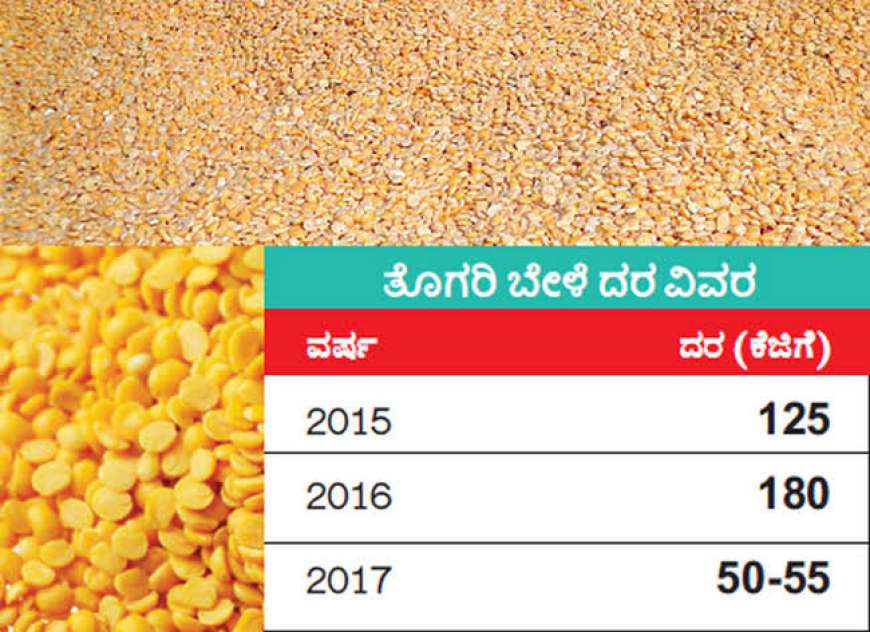 Tur dal rate-ತೊಗರಿ ಬೆಳೆ ಬೆಲೆಯಲ್ಲಿ ಬಾರಿ ಇಳಿಕೆ,ಗ್ರಾಹಕರು ಫುಲ್ ಖುಷ್,ರೈತರಿಗೆ ಕೊಂಚ ನಿರಾಸೆ!
