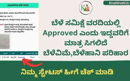 ಬೆಳೆ ಸಮಿಕ್ಷೆ ವರದಿಯಲ್ಲಿ approved ಎಂದು ಇದ್ದವರಿಗೆ ಮಾತ್ರ ಬೆಳೆವಿಮೆ,ಬೆಳೆಹಾನಿ ಪರಿಹಾರ,ನಿಮ್ಮ ಸ್ಟೇಟಸ್ ಒಮ್ಮೆ ಚೆಕ್ ಮಾಡಿಕೊಳ್ಳಿ-Crop survey report
