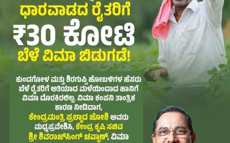 Crop insurance-ಈ ಜಿಲ್ಲೆಸ ರೈತರ ಖಾತೆಗೆ ಬಾಕಿ 30 ಕೋಟಿ ಬೆಳೆವಿಮೆ ಹಣ ಜಮಾ