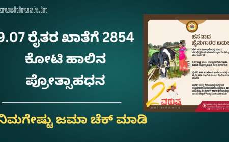 Milk incentive status-9.07 ಲಕ್ಷ ರೈತರ ಖಾತೆಗೆ 2854 ಕೋಟಿ ಹಾಲಿನ ಪ್ರೋತ್ಸಾಹಧನ, ನಿಮಗೇಷ್ಟು ಜಮಾ ಚೆಕ್ ಮಾಡಿ