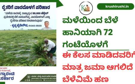 Bele parihara-ಬೆಳೆಹಾನಿಯಾದ ರೈತರ ಕರಡು ಪಟ್ಟಿ ಬಿಡುಗಡೆ,ಆಕ್ಷೇಪಣೆ ಸಲ್ಲಿಸಲು ಸೆಪ್ಟೆಂಬರ್ 7 ಕೊನೆಯ ದಿನಾಂಕ