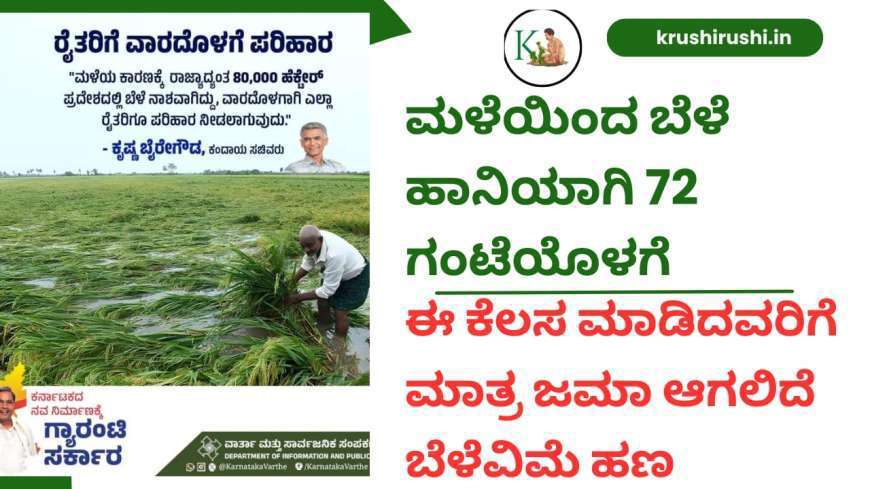 Bele vime-ಮಳೆಯಿಂದ ಬೆಳೆ ಹಾನಿಯಾಗಿ 72 ಗಂಟೆಯೊಳಗೆ ಈ ಕೆಲಸ ಮಾಡಿದವರಿಗೆ ಮಾತ್ರ ಜಮಾ ಆಗಲಿದೆ ಬೆಳೆವಿಮೆ