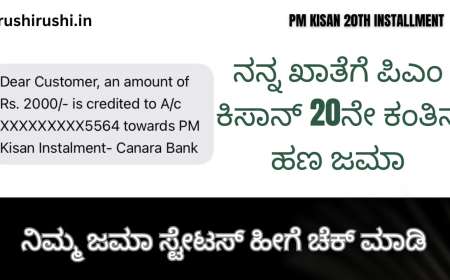 ನನ್ನ ಖಾತೆಗೆ ಪಿಎಂ ಕಿಸಾನ್ 20ನೇ ಕಂತಿನ ಹಣ ಜಮಾ,ನಿಮ್ಮ ಜಮಾ ಸ್ಟೇಟಸ್ ಹೀಗೆ ಚೆಕ್ ಮಾಡಿ-Pmkisan 20th instalment amount credited to my account