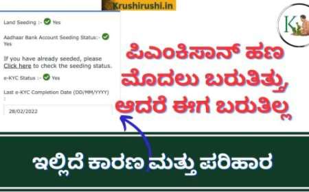 ನಿಮಗೆ ಪಿಎಂ ಕಿಸಾನ್ ಹಣ ಜಮಾ ಆಗಿಲ್ಲವೇ? ಹಾಗಾದರೆ ಇಲ್ಲಿದೆ ಕಾರಣ ಮತ್ತು ಪರಿಹಾರ-Pmkisan amount not credited