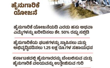 Dairy farming-50% ಸಬ್ಸಿಡಿಯಲ್ಲಿ 2 ಹಸು,ಎಮ್ಮೆ ಖರೀದಿಸಲು 1.25 ಲಕ್ಷ ಸಹಾಯಧನ