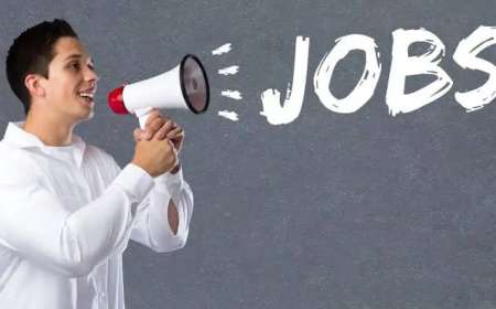 Job offers-2025 ನೇ ಸಾಲಿನಲ್ಲಿ ಅತಿ ಹೆಚ್ಚು ಬೇಡಿಕೆ ಇರುವ ಉದ್ಯೋಗಗಳಿವು