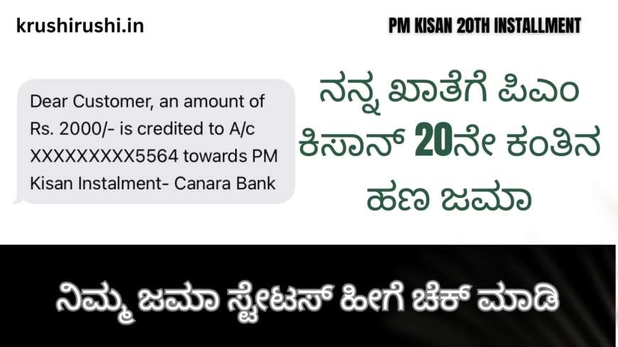 ನನ್ನ ಖಾತೆಗೆ ಪಿಎಂ ಕಿಸಾನ್ 20ನೇ ಕಂತಿನ ಹಣ ಜಮಾ,ನಿಮ್ಮ ಜಮಾ ಸ್ಟೇಟಸ್ ಹೀಗೆ ಚೆಕ್ ಮಾಡಿ-Pmkisan 20th instalment amount credited to my account