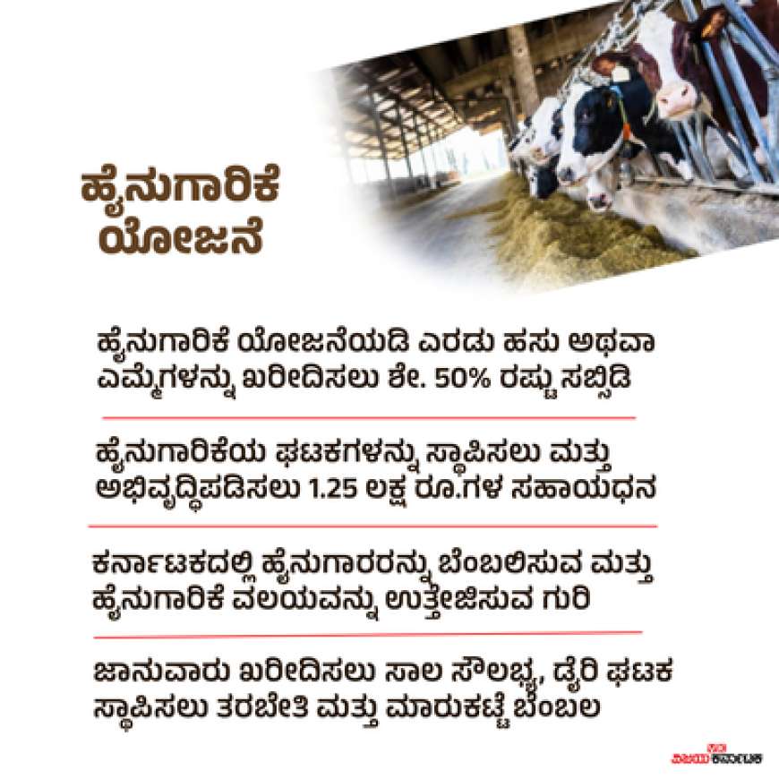Dairy farming-50% ಸಬ್ಸಿಡಿಯಲ್ಲಿ 2 ಹಸು,ಎಮ್ಮೆ ಖರೀದಿಸಲು 1.25 ಲಕ್ಷ ಸಹಾಯಧನ