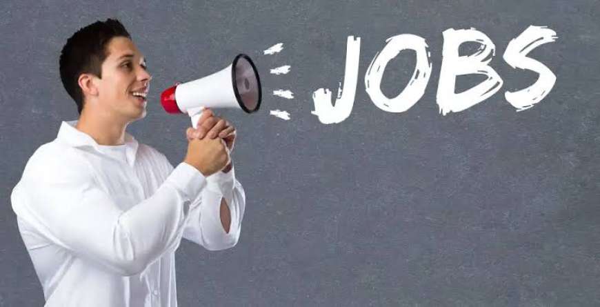 Job offers-2025 ನೇ ಸಾಲಿನಲ್ಲಿ ಅತಿ ಹೆಚ್ಚು ಬೇಡಿಕೆ ಇರುವ ಉದ್ಯೋಗಗಳಿವು