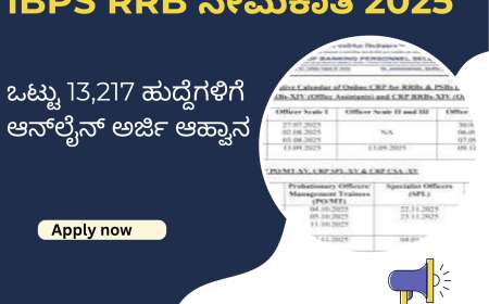 IBPS RRB ನೇಮಕಾತಿ 2025: ಒಟ್ಟು 13,217 ಹುದ್ದೆಗಳಿಗೆ ಆನ್‌ಲೈನ್ ಅರ್ಜಿ ಆಹ್ವಾನ