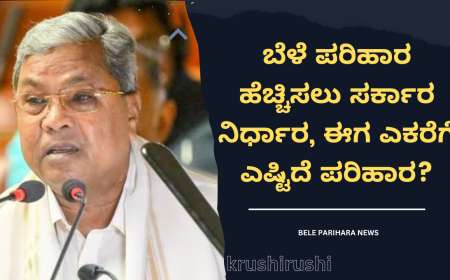 ಬೆಳೆ ಪರಿಹಾರ ಹೆಚ್ಚಿಸಲು ಸರ್ಕಾರ ನಿರ್ಧಾರ, ಈಗ ಎಕರೆಗೆ ಎಷ್ಟಿದೆ ಪರಿಹಾರ?