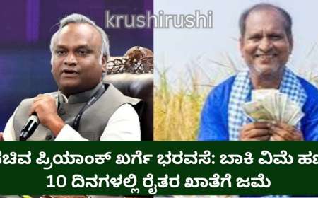 ಸಚಿವ ಪ್ರಿಯಾಂಕ್ ಖರ್ಗೆ ಭರವಸೆ: ಬಾಕಿ ವಿಮೆ ಹಣ 10 ದಿನಗಳಲ್ಲಿ ರೈತರ ಖಾತೆಗೆ ಜಮೆ