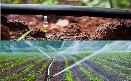 ರೈತರಿಗೆ ಗುಡ್ ನ್ಯೂಸ್: 'ಕೃಷಿ ಸಿಂಚಾಯಿ ಯೋಜನೆ'ಯಡಿ ಹನಿ ನೀರಾವರಿ ಸೌಲಭ್ಯ!