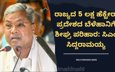 ರಾಜ್ಯದ 5 ಲಕ್ಷ ಹೆಕ್ಟೇರ್‌ ಪ್ರದೇಶದ ಬೆಳೆಹಾನಿಗೆ ಶೀಘ್ರ ಪರಿಹಾರ: ಸಿಎಂ ಸಿದ್ದರಾಮಯ್ಯ