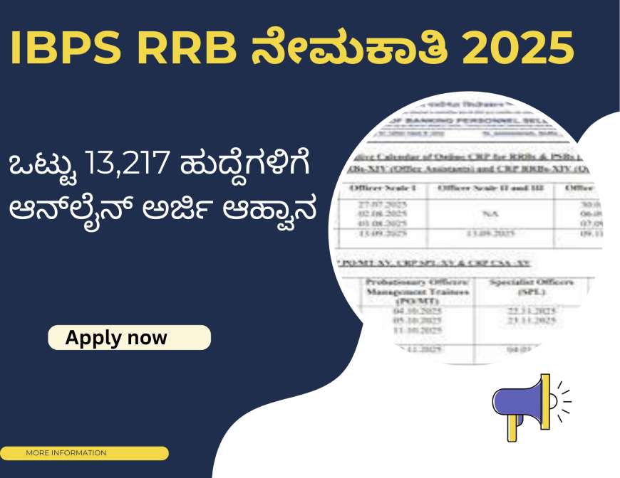 IBPS RRB ನೇಮಕಾತಿ 2025: ಒಟ್ಟು 13,217 ಹುದ್ದೆಗಳಿಗೆ ಆನ್ಲೈನ್ ಅರ್ಜಿ ಆಹ್ವಾನ