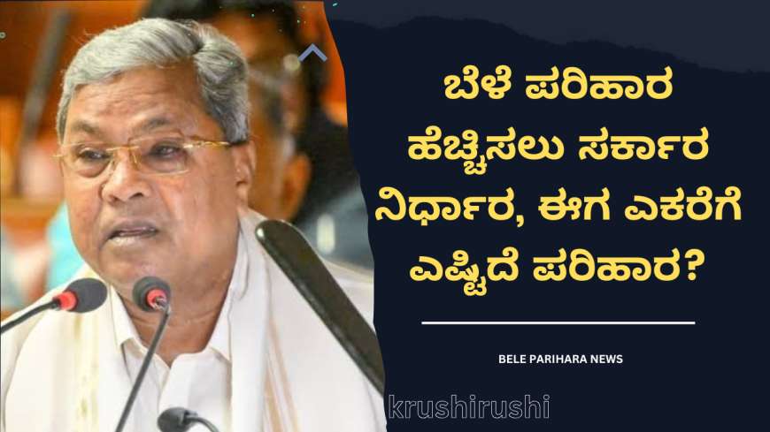 ಬೆಳೆ ಪರಿಹಾರ ಹೆಚ್ಚಿಸಲು ಸರ್ಕಾರ ನಿರ್ಧಾರ, ಈಗ ಎಕರೆಗೆ ಎಷ್ಟಿದೆ ಪರಿಹಾರ?