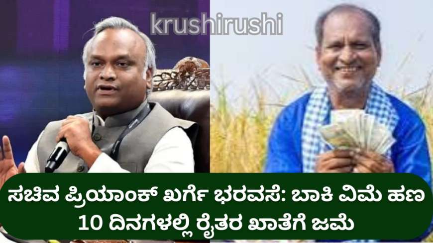 ಸಚಿವ ಪ್ರಿಯಾಂಕ್ ಖರ್ಗೆ ಭರವಸೆ: ಬಾಕಿ ವಿಮೆ ಹಣ 10 ದಿನಗಳಲ್ಲಿ ರೈತರ ಖಾತೆಗೆ ಜಮೆ