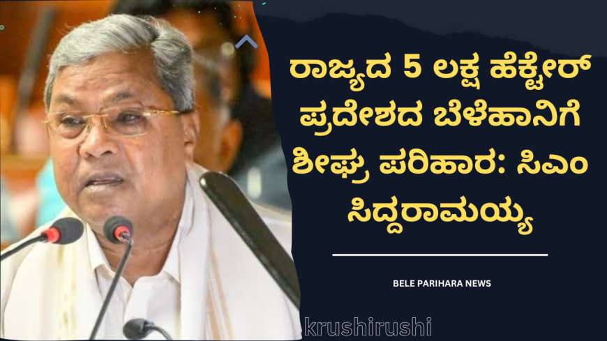 ರಾಜ್ಯದ 5 ಲಕ್ಷ ಹೆಕ್ಟೇರ್‌ ಪ್ರದೇಶದ ಬೆಳೆಹಾನಿಗೆ ಶೀಘ್ರ ಪರಿಹಾರ: ಸಿಎಂ ಸಿದ್ದರಾಮಯ್ಯ