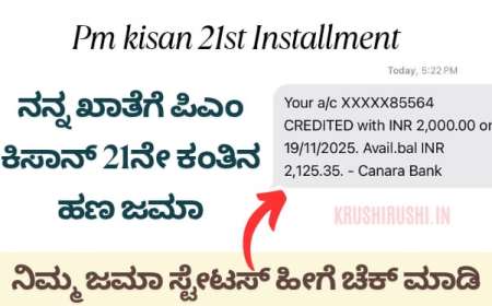Pmkisan 21st instalment-ನನ್ನ ಖಾತೆಗೆ ಪಿಎಂ ಕಿಸಾನ್ 21ನೇ ಕಂತಿನ ಹಣ ಜಮಾ, ನಿಮ್ಮ ಜಮಾ ಸ್ಟೇಟಸ್ ಹೀಗೆ ಚೆಕ್ ಮಾಡಿ